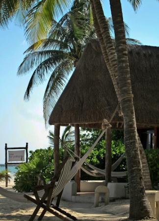 MAHEKAL BEACH RESORT — фото 5