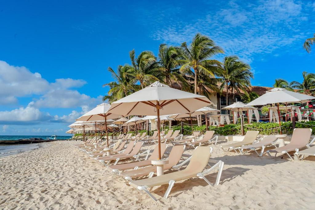 THE REEF COCO BEACH — фото 11