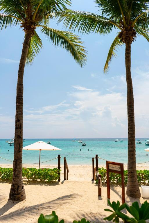 THE REEF COCO BEACH — фото 15