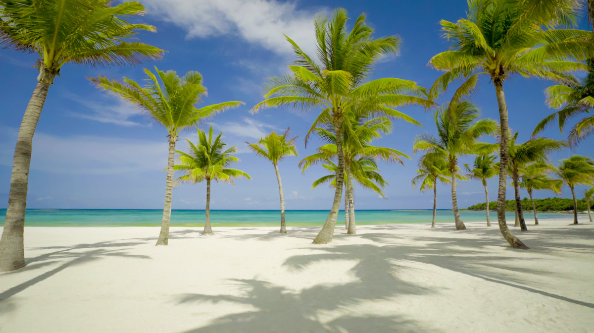 BARCELO MAYA GRAND RESORT (EX. BARCELO MAYA BEACH) — фото 6