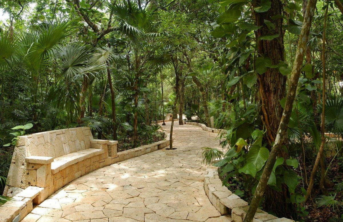 CATALONIA ROYAL TULUM ADULTS ONLY 18+ — фото 6