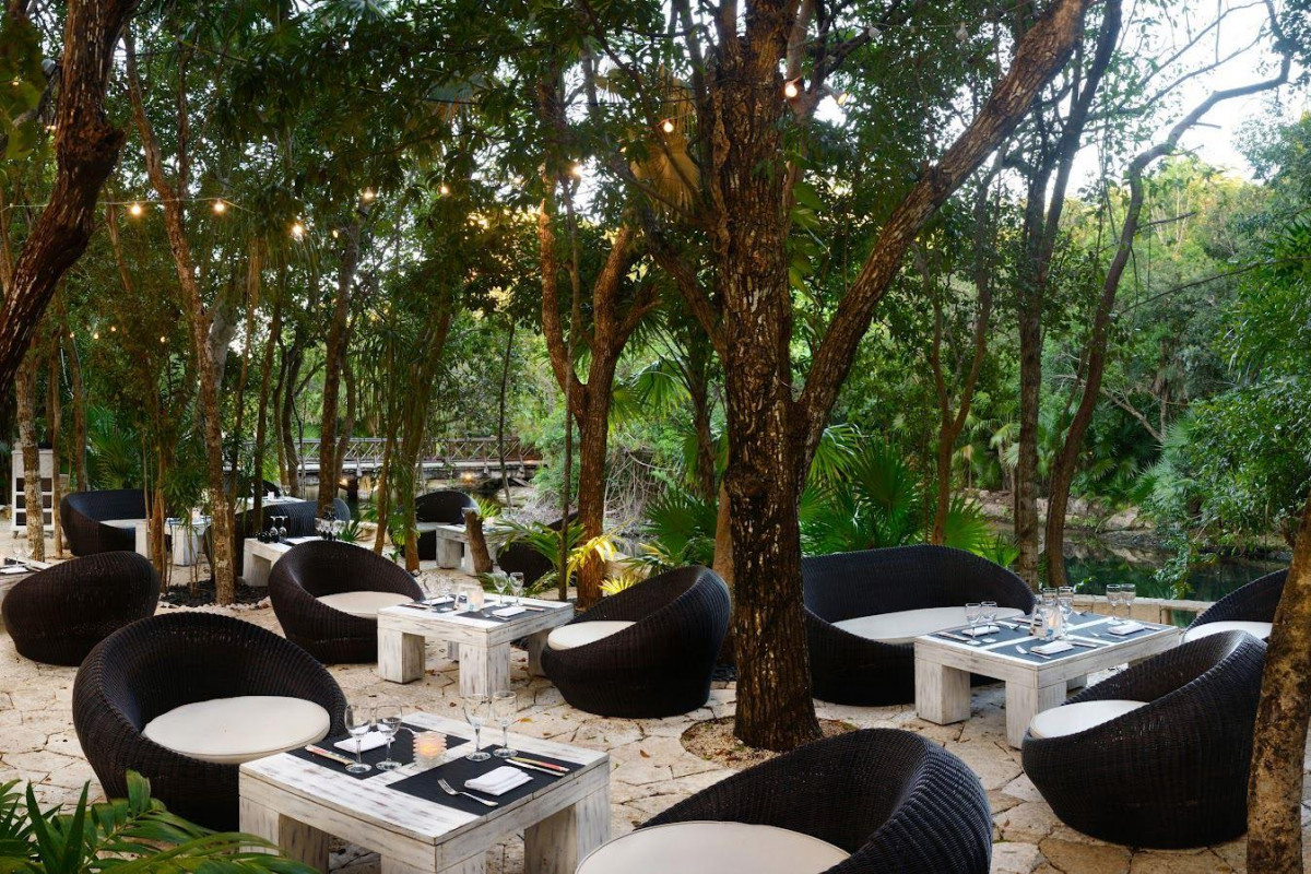 CATALONIA ROYAL TULUM ADULTS ONLY 18+ — фото 16