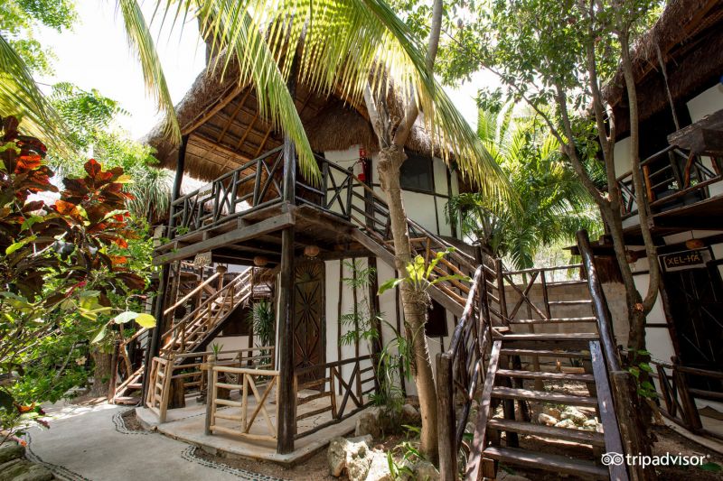 GREEN TULUM