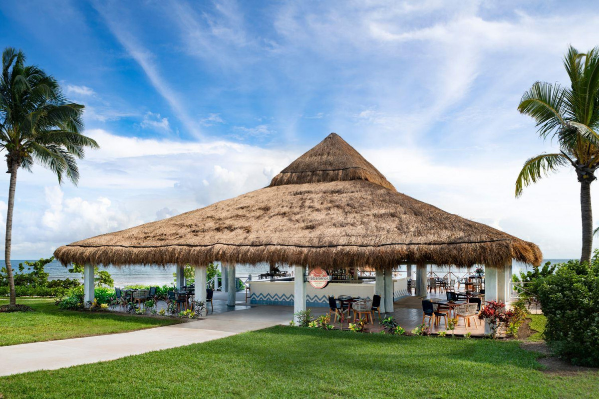 HYATT ZIVA RIVIERA CANCUN — фото 17