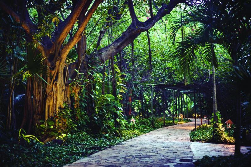 MAROMA RESORT & SPA — фото 8