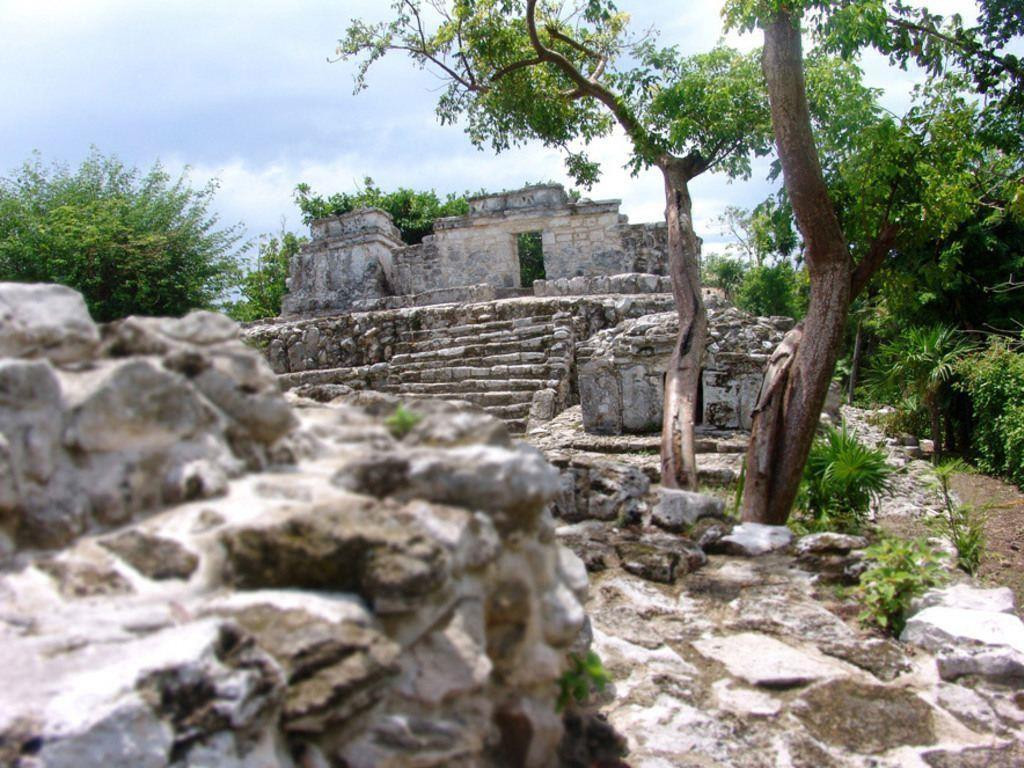 OCCIDENTAL AT XCARET DESTINATION (EX. OCCIDENTAL GRAND XCARET) — фото 6