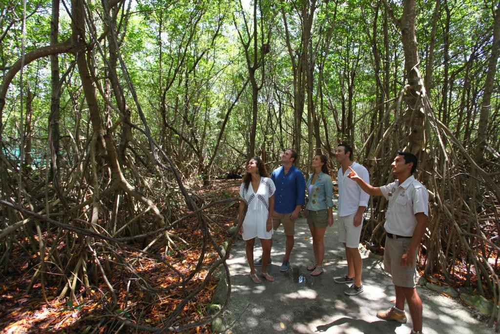 SANDOS CARACOL ECO EXPERIENCE RESORT — фото 15
