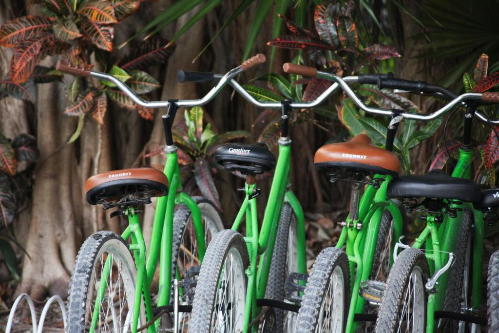 SANDOS CARACOL ECO EXPERIENCE RESORT — фото 16