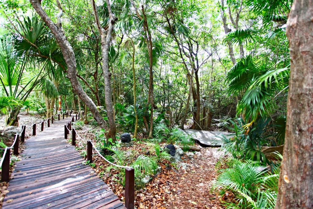 SANDOS CARACOL ECO EXPERIENCE RESORT — фото 17