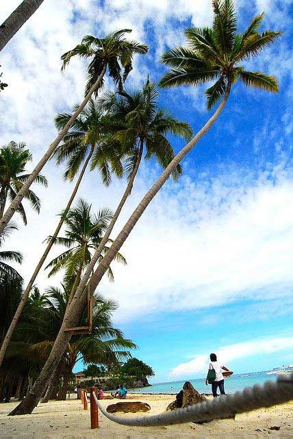 ALONA TROPICAL BEACH RESORT — фото 8