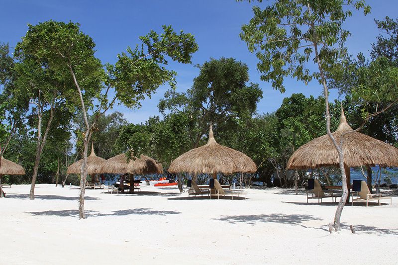 PANGLAO BLUEWATER BEACH RESORT — фото 8