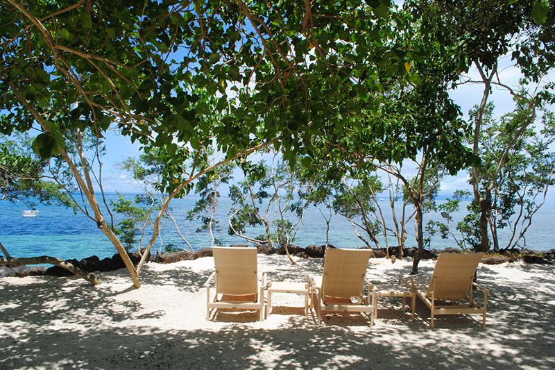 PANGLAO BLUEWATER BEACH RESORT — фото 9