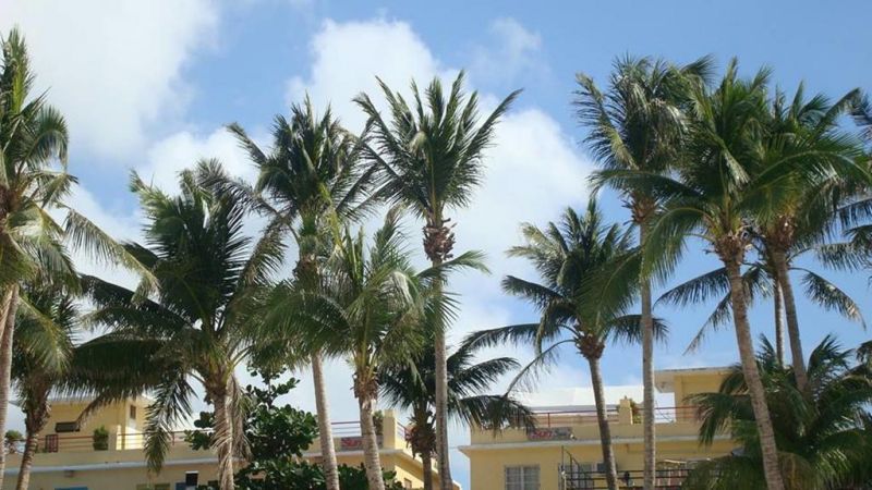 SUN VILLA BEACHFRONT RESORT & SPA — фото 2