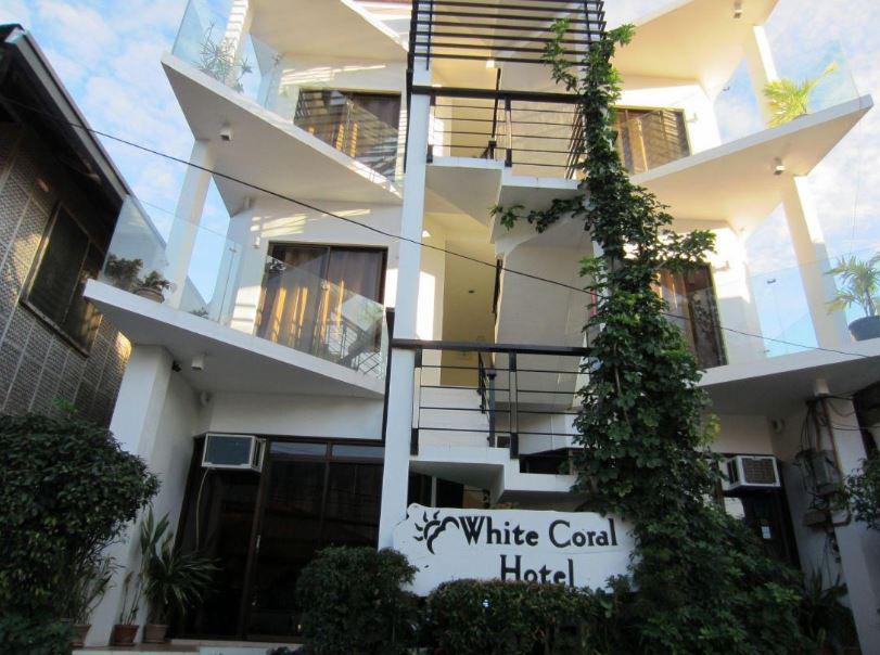 WHITE CORAL