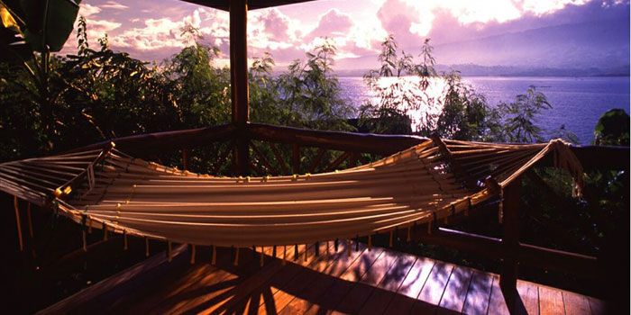 BADIAN ISLAND RESORT — фото 8