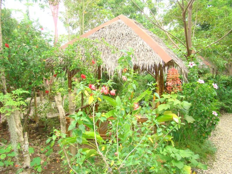 BANTAYAN ISLAND NATURE PARK AND RESORT — фото 12