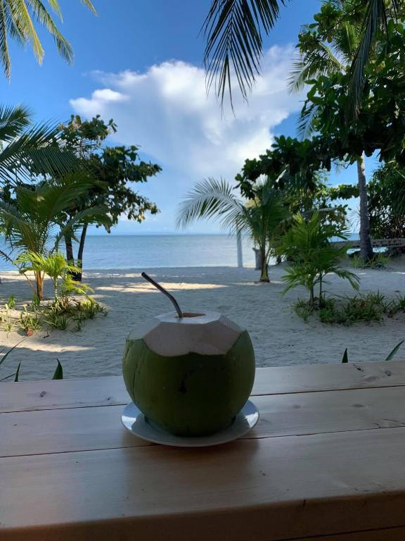 MALAPASCUA EXOTIC ISLAND DIVE & BEACH RESORT — фото 13