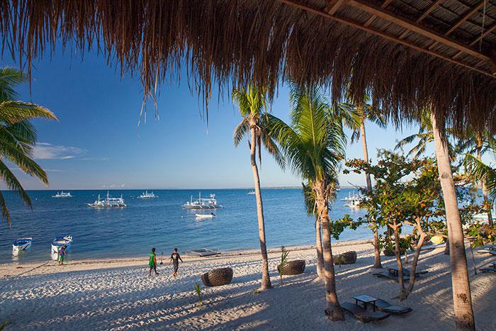 OCEAN VIDA (EX. SEA EXPLORERS MALAPASCUA) — фото 6