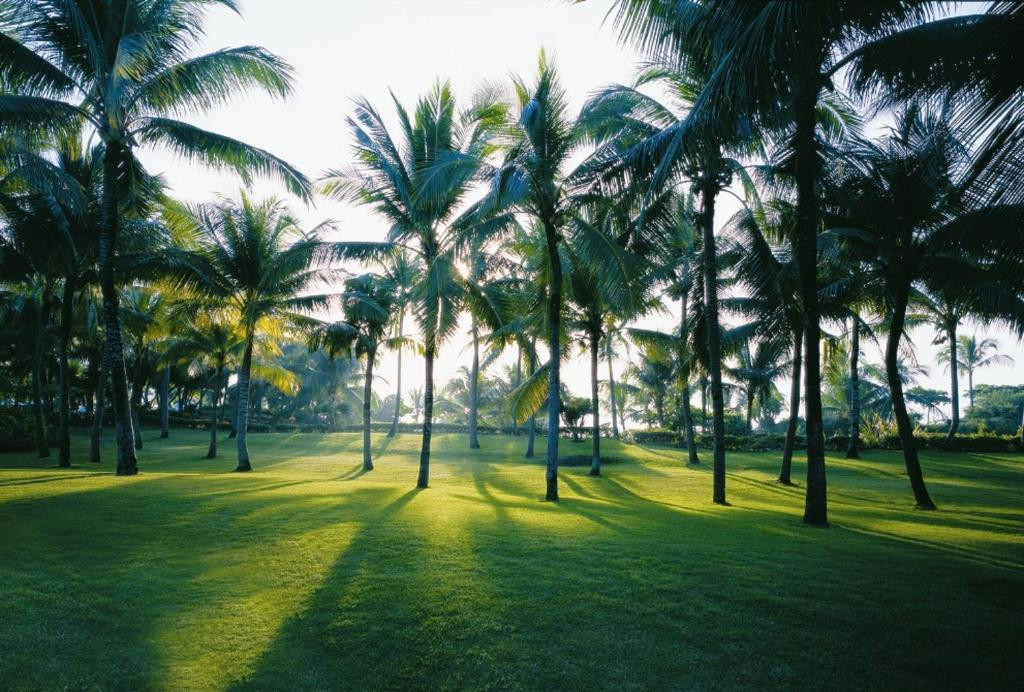 SHANGRI-LA MACTAN RESORT & SPA — фото 13