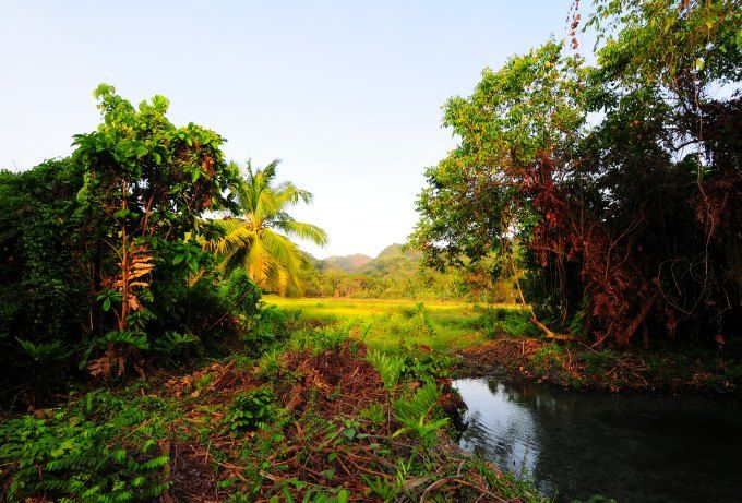 CASHEW GROVE BEACH RESORT