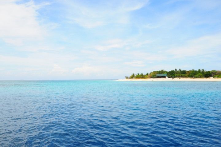CASHEW GROVE BEACH RESORT — фото 3