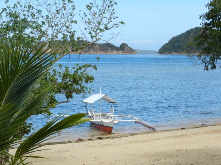 CASHEW GROVE BEACH RESORT — фото 8
