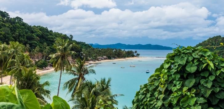 EL NIDO MAHOGANY BEACH RESORT — фото 10