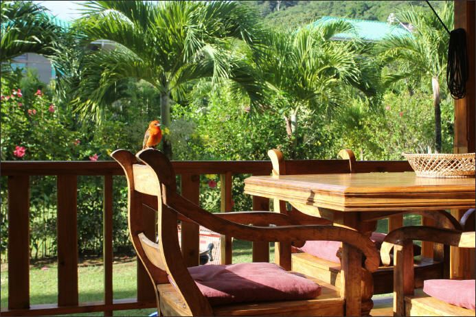 BOIS DAMOUR GUESTHOUSE — фото 14