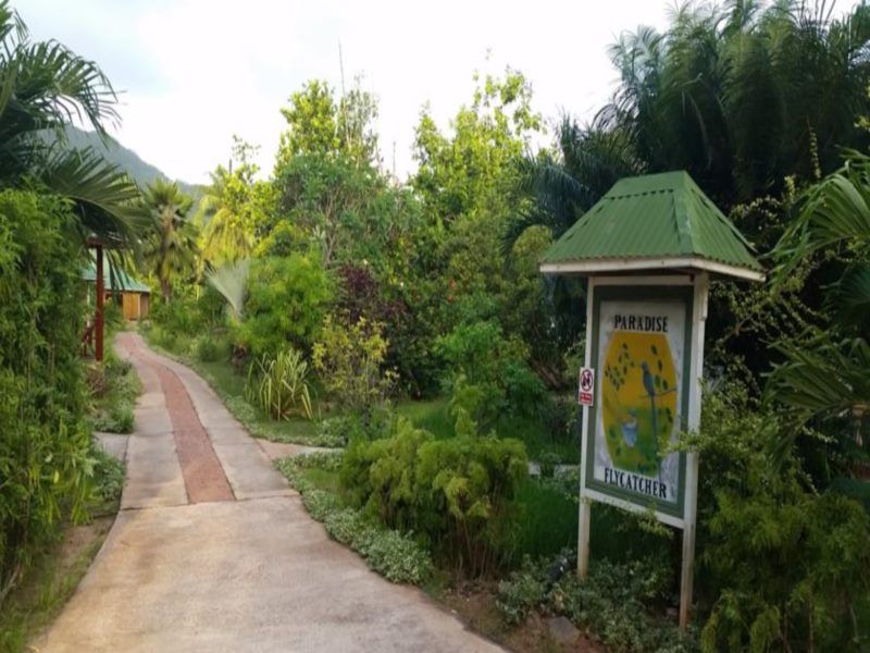 PARADISE FLYCATCHERS LODGE — фото 8