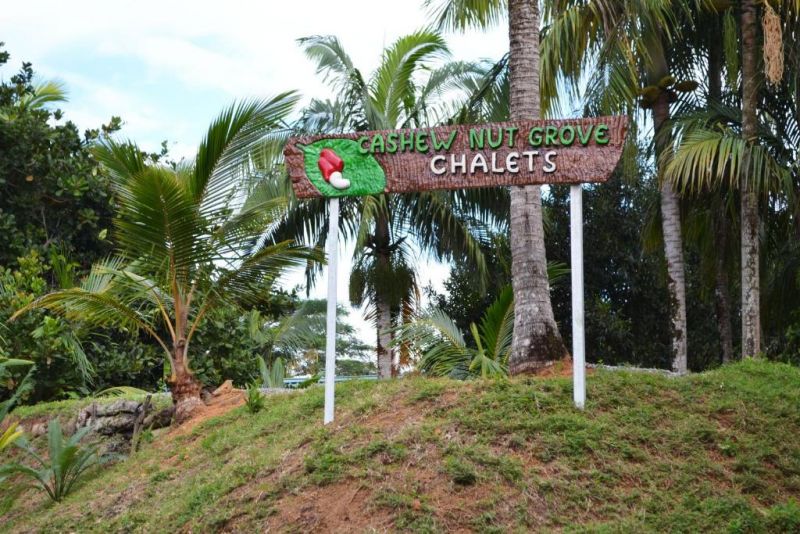 CASHEW NUT GROVE CHALETS — фото 7