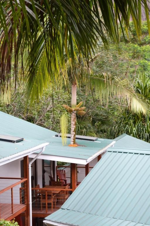CASHEW NUT GROVE CHALETS — фото 13