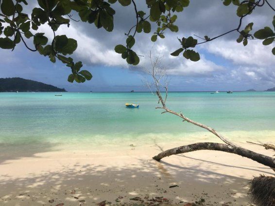 CREOLE BREEZE SELF CATERING — фото 14