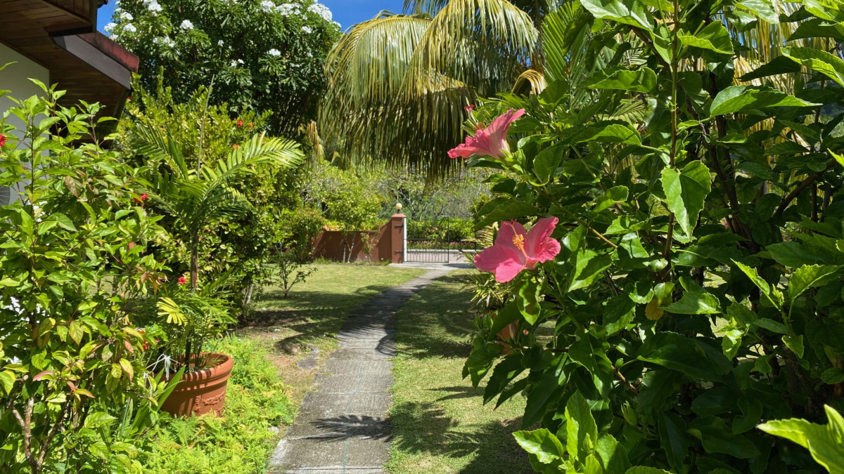 BEACH VILLA — фото 5