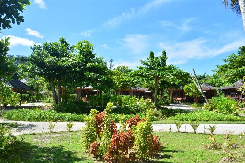 HELICONIA GROVE — фото 3