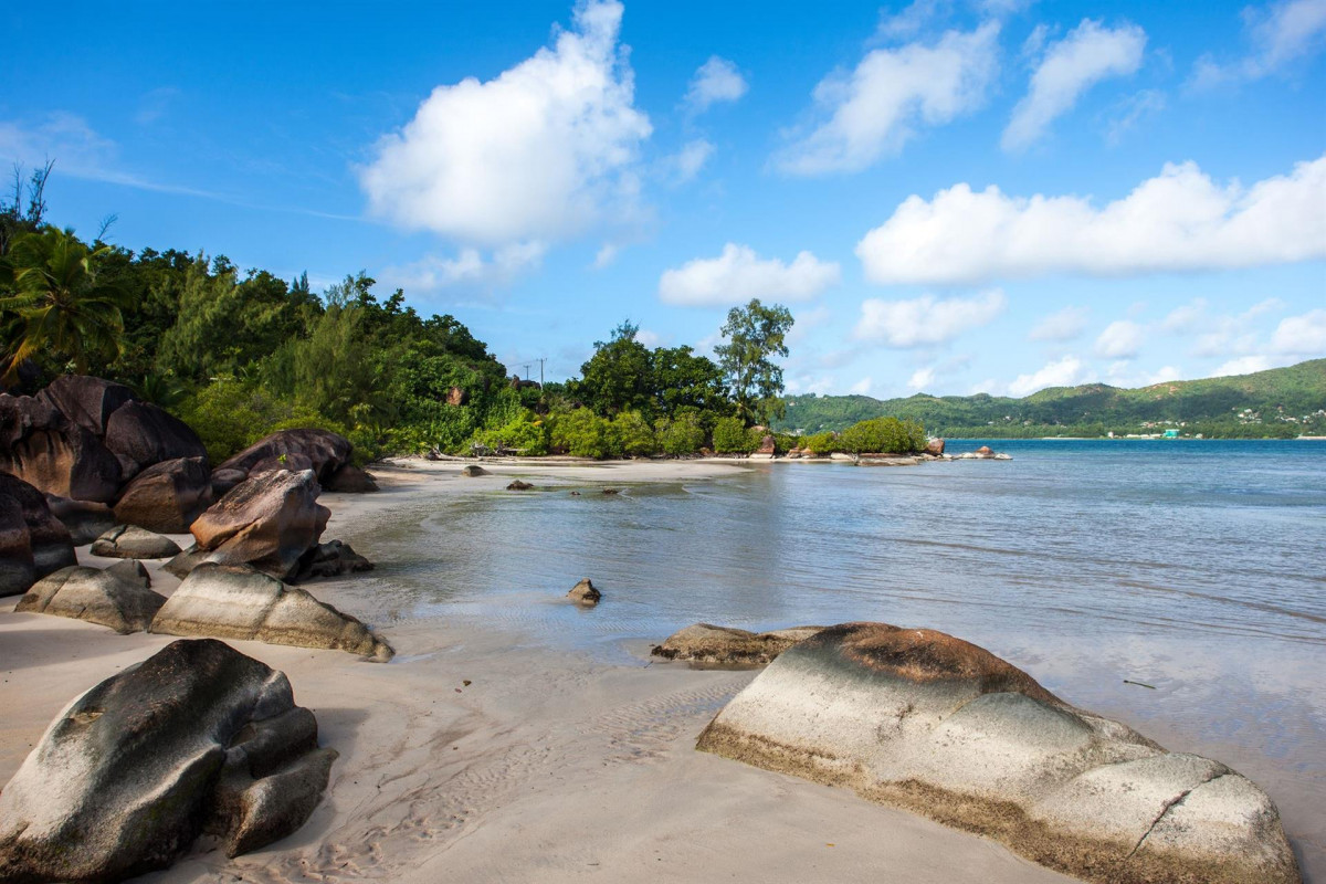LE VASSEUR LA BUSE ECO RESORT (EX. ILES DES PALMES) — фото 5