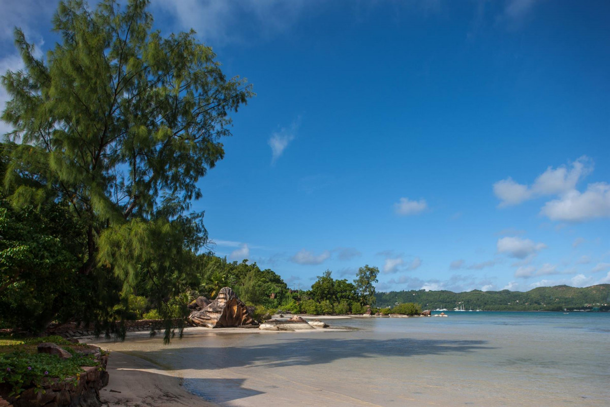 LE VASSEUR LA BUSE ECO RESORT (EX. ILES DES PALMES) — фото 7