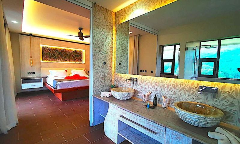 VILLA 360 LUXE LE DUC DE PRASLIN — фото 3