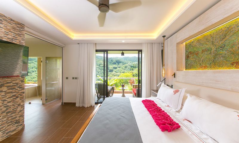 VILLA 360 LUXE LE DUC DE PRASLIN — фото 5