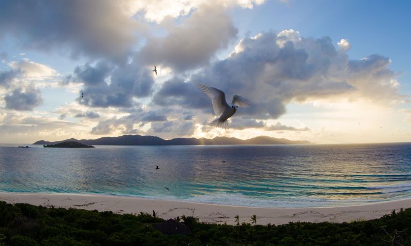COUSINE ISLAND RESORT — фото 12