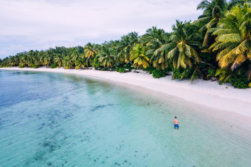 FOUR SEASONS RESORT SEYCHELLES AT DESROCHES ISLAND — фото 12