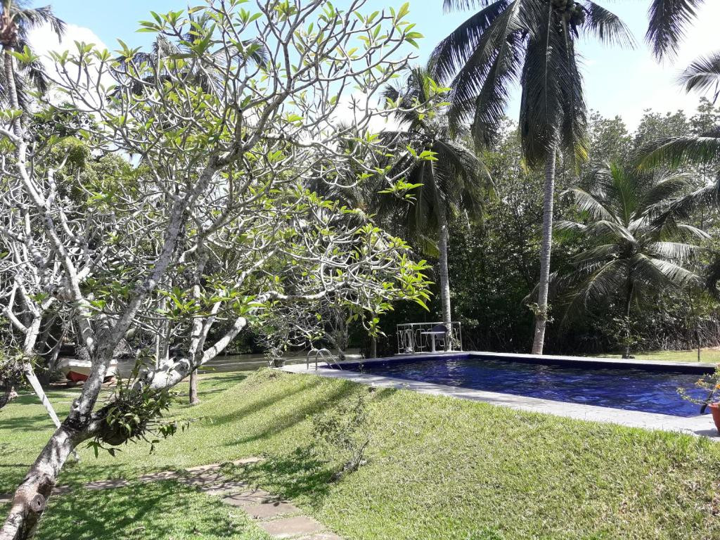 AHYORA RIVER RESORT (EX. MUTHUMUNI AYURVEDA RIVER RESORT) — фото 6