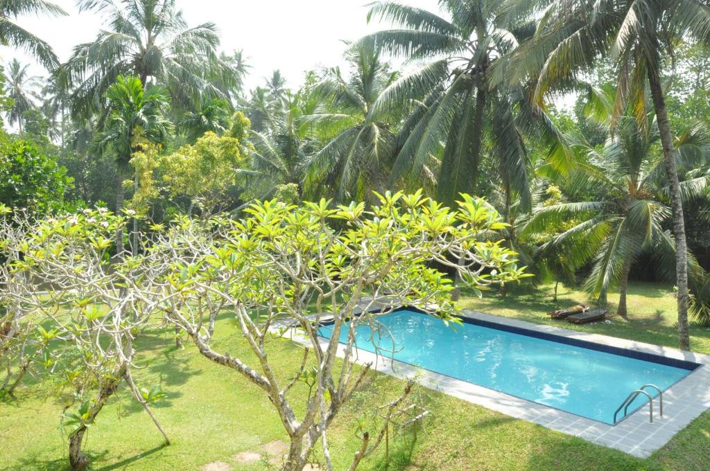 AHYORA RIVER RESORT (EX. MUTHUMUNI AYURVEDA RIVER RESORT) — фото 9