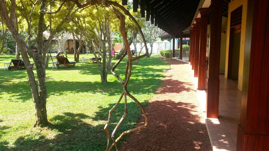 AIDA AYURVEDA & SPA RESORT INDURUWA — фото 7