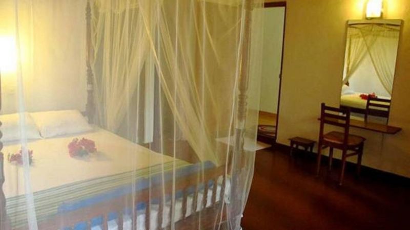 C-LANKA GUEST HOUSE — фото 10