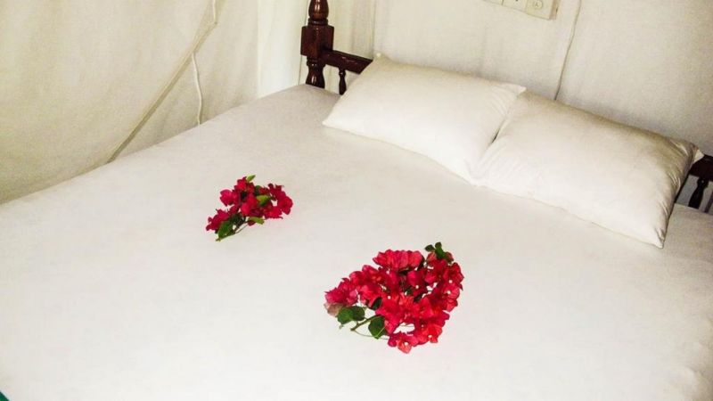 C-LANKA GUEST HOUSE — фото 11