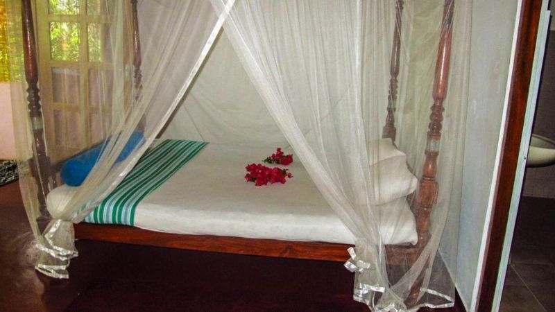 C-LANKA GUEST HOUSE — фото 12