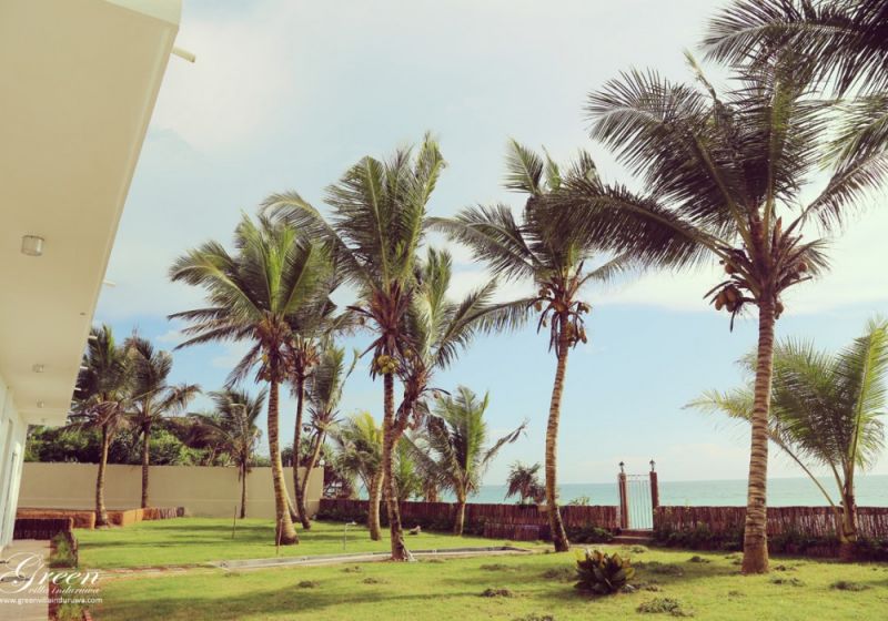 GREEN VILLA  — фото 12