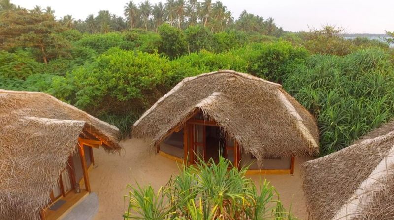 JUNGLE BEACH CAMP — фото 2