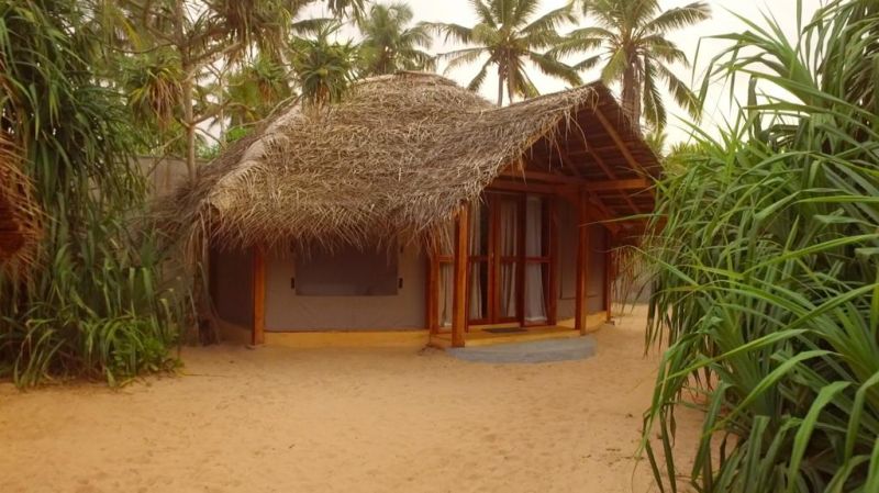 JUNGLE BEACH CAMP — фото 11