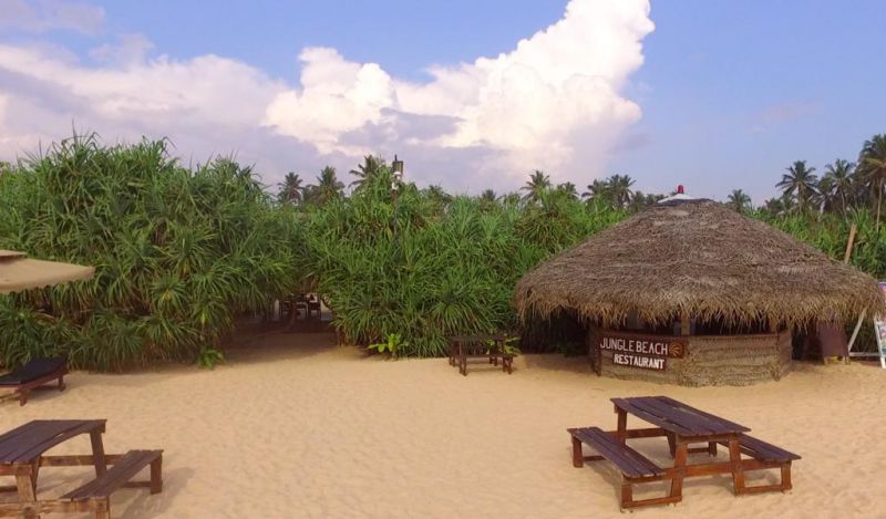 JUNGLE BEACH CAMP — фото 17